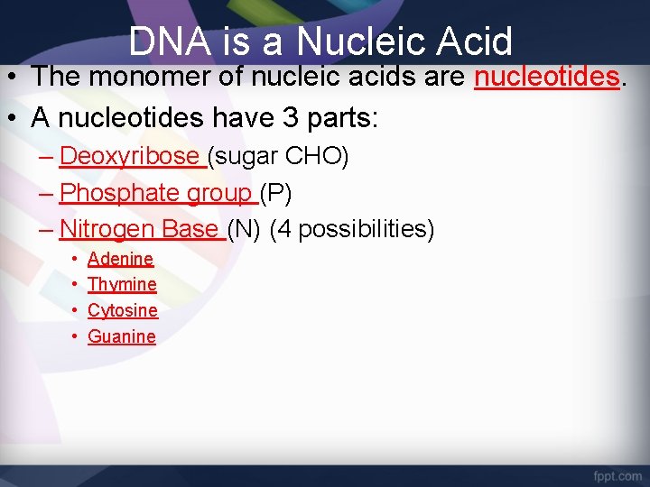 DNA is a Nucleic Acid • The monomer of nucleic acids are nucleotides. •