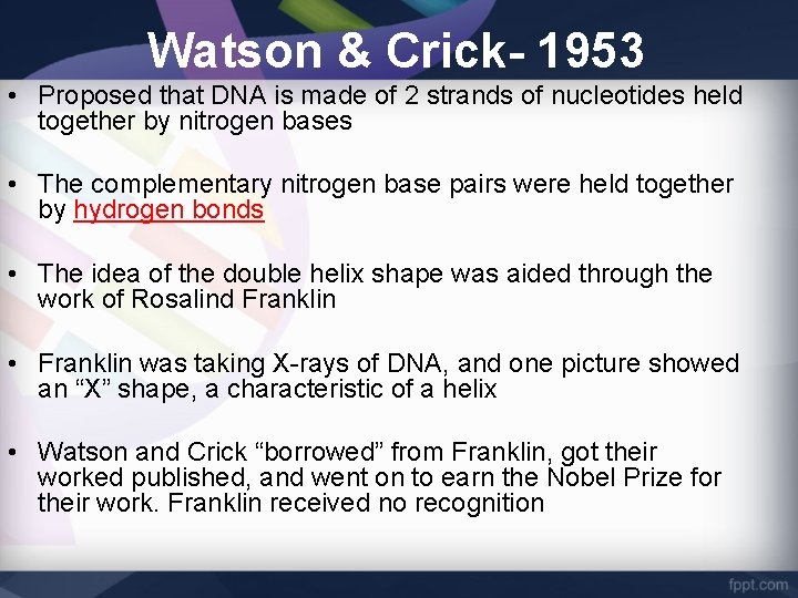 Watson & Crick- 1953 • Proposed that DNA is made of 2 strands of