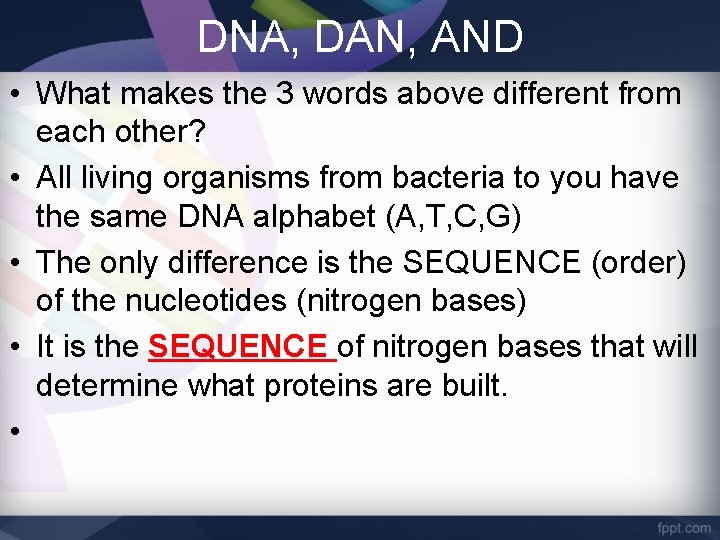 DNA, DAN, AND • What makes the 3 words above different from each other?