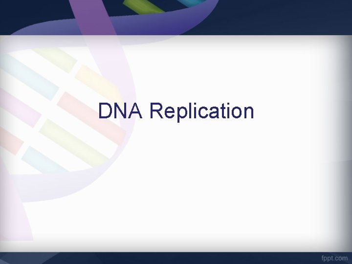 DNA Replication 