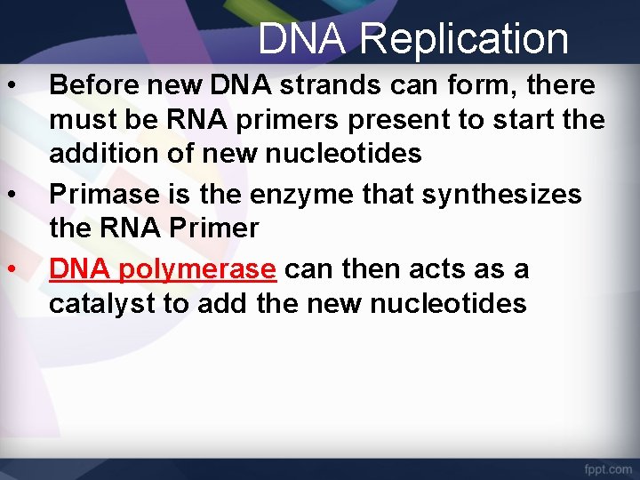 DNA Replication • • • Before new DNA strands can form, there must be