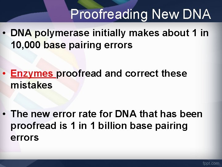 Proofreading New DNA • DNA polymerase initially makes about 1 in 10, 000 base