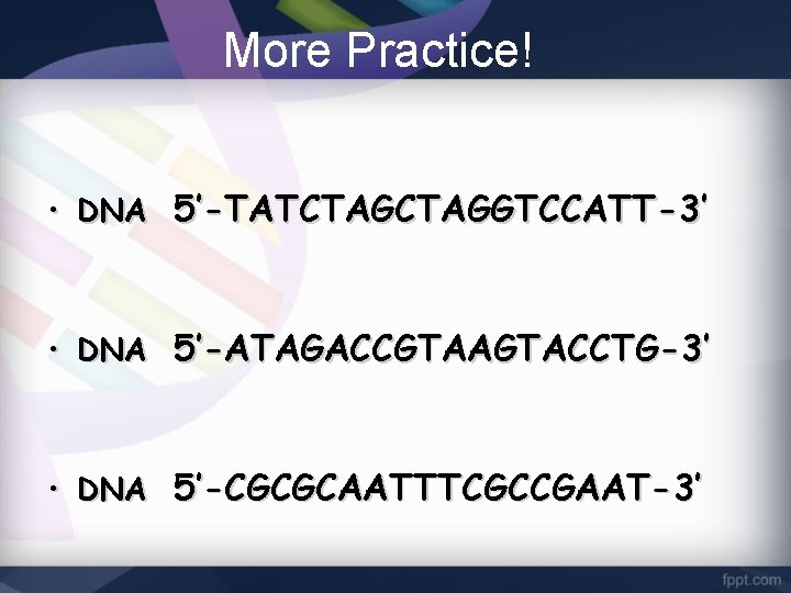 More Practice! • DNA 5’-TATCTAGGTCCATT-3’ • DNA 5’-ATAGACCGTAAGTACCTG-3’ • DNA 5’-CGCGCAATTTCGCCGAAT-3’ 