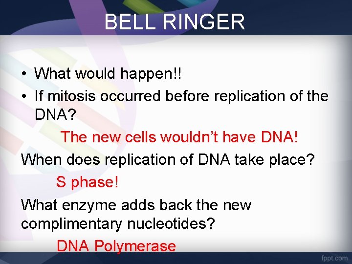 BELL RINGER • What would happen!! • If mitosis occurred before replication of the