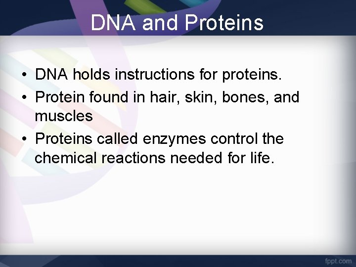 DNA and Proteins • DNA holds instructions for proteins. • Protein found in hair,