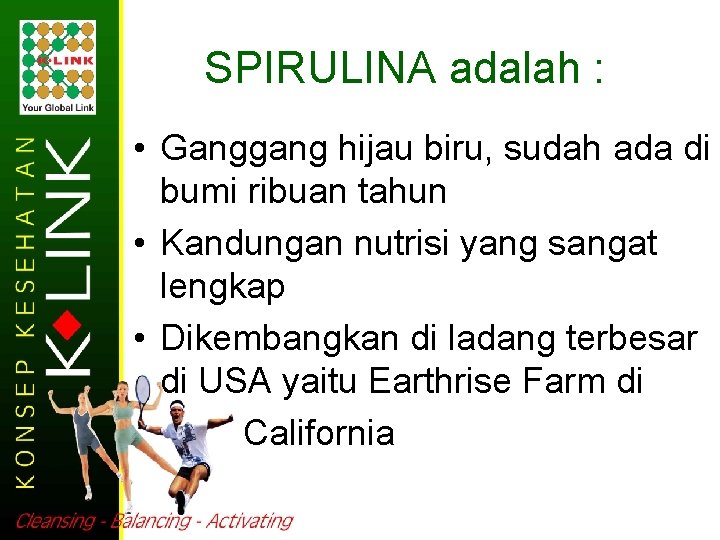 SPIRULINA adalah : • Ganggang hijau biru, sudah ada di bumi ribuan tahun •