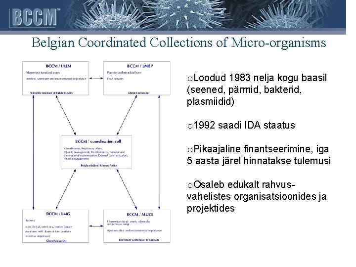 Belgian Coordinated Collections of Micro-organisms o. Loodud 1983 nelja kogu baasil (seened, pärmid, bakterid,