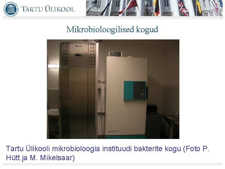 Mikrobioloogilised kogud Tartu Ülikooli mikrobioloogia instituudi bakterite kogu (Foto P. Hütt ja M. Mikelsaar)