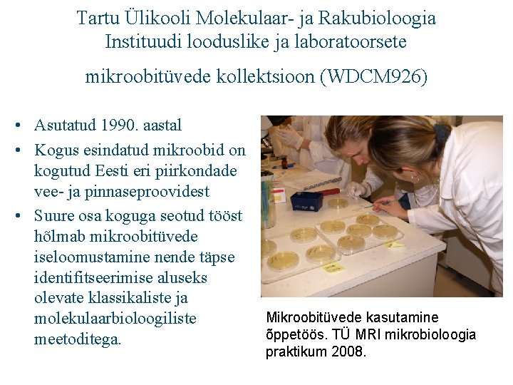 Tartu Ülikooli Molekulaar- ja Rakubioloogia Instituudi looduslike ja laboratoorsete mikroobitüvede kollektsioon (WDCM 926) •