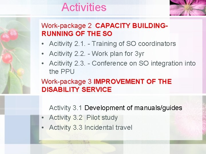 Activities Work-package 2 CAPACITY BUILDINGRUNNING OF THE SO • Acitivity 2. 1. - Training