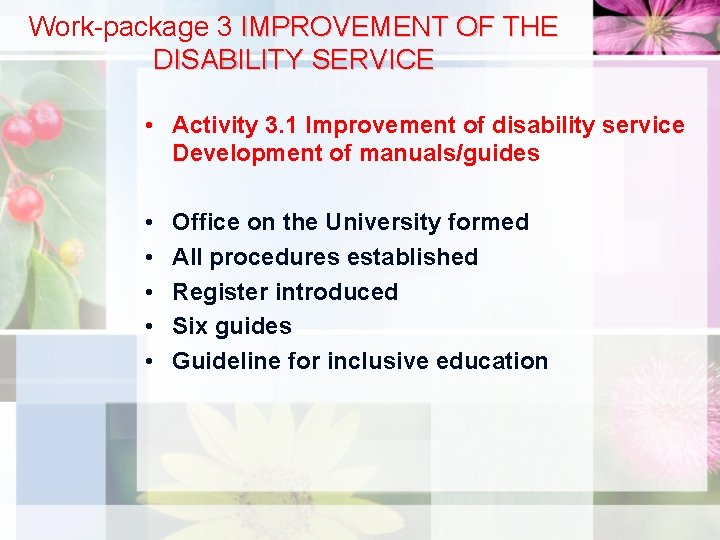 Work-package 3 IMPROVEMENT OF THE DISABILITY SERVICE • Activity 3. 1 Improvement of disability
