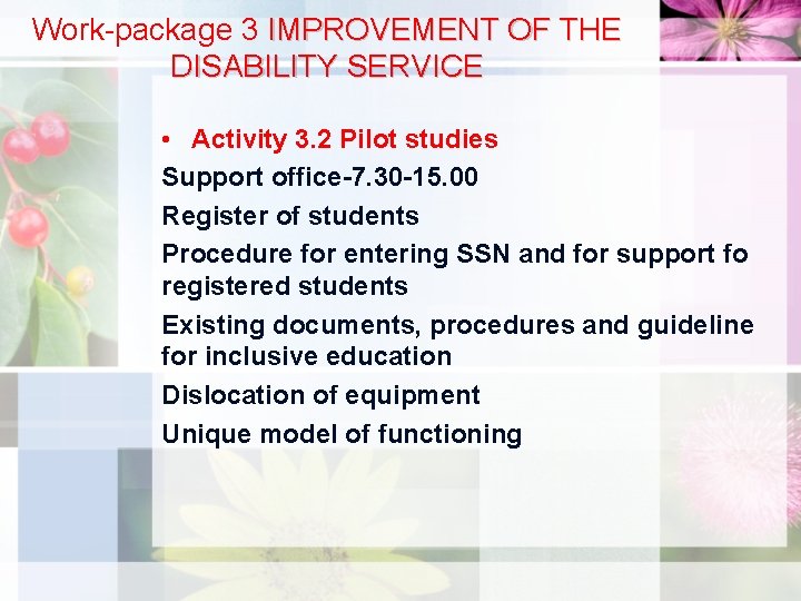 Work-package 3 IMPROVEMENT OF THE DISABILITY SERVICE • Activity 3. 2 Pilot studies Support