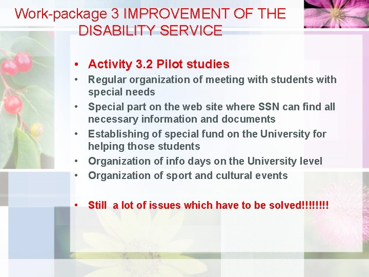 Work-package 3 IMPROVEMENT OF THE DISABILITY SERVICE • Activity 3. 2 Pilot studies •