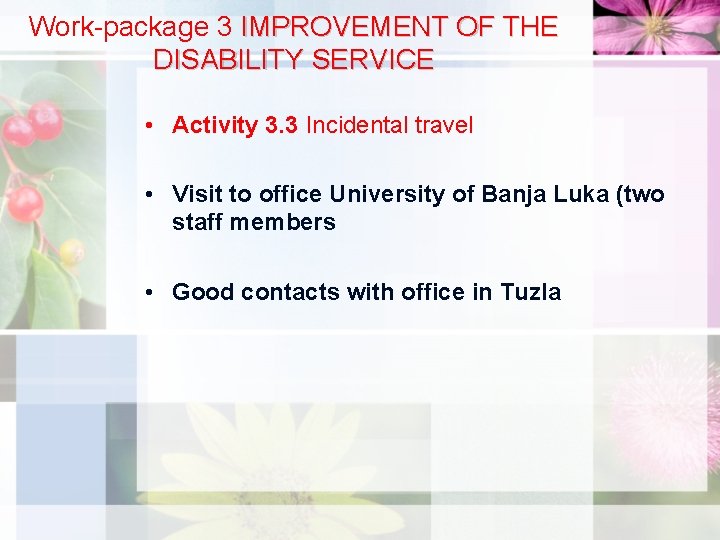 Work-package 3 IMPROVEMENT OF THE DISABILITY SERVICE • Activity 3. 3 Incidental travel •