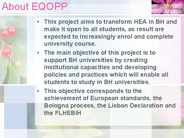 About EQOPP • This project aims to transform HEA in BH and make it