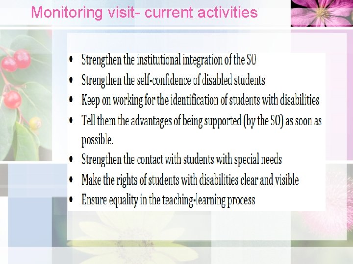 Monitoring visit- current activities • 