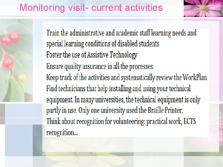 Monitoring visit- current activities 