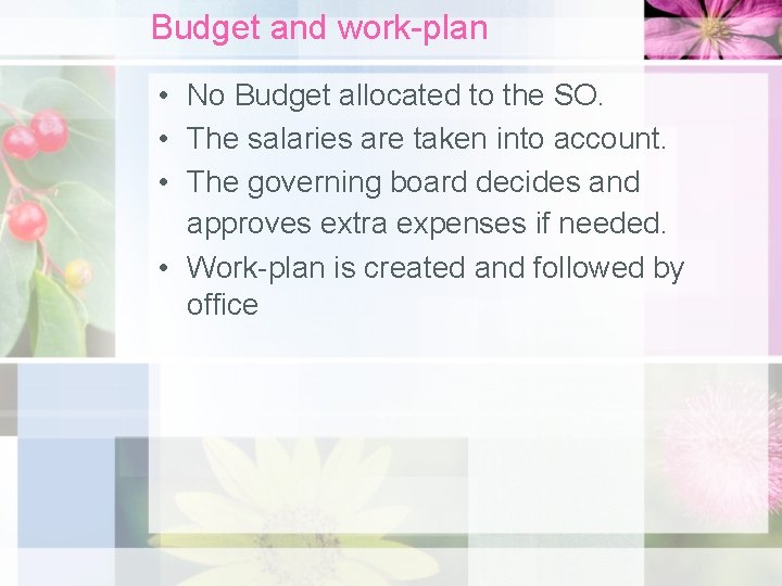 Budget and work-plan • No Budget allocated to the SO. • The salaries are