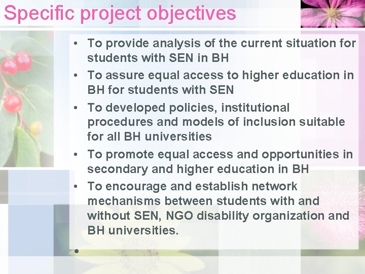Specific project objectives • To provide analysis of the current situation for students with
