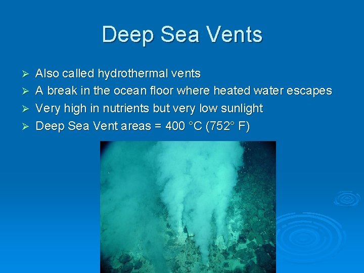 Deep Sea Vents Ø Ø Also called hydrothermal vents A break in the ocean