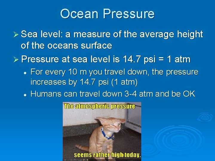 Ocean Pressure Ø Sea level: a measure of the average height of the oceans
