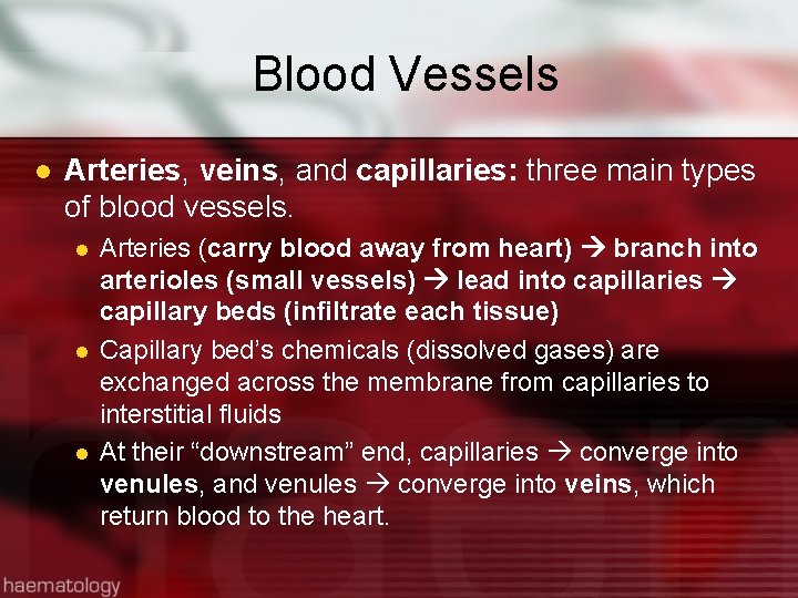 Blood Vessels l Arteries, veins, and capillaries: three main types of blood vessels. l