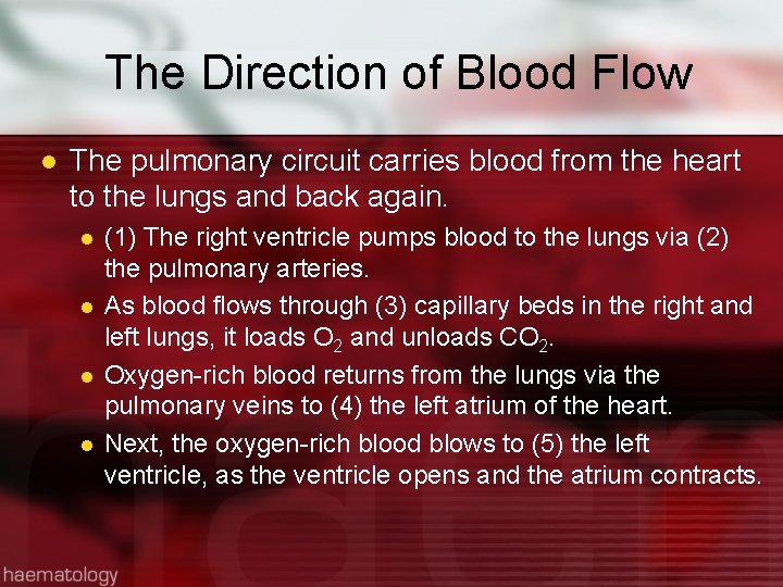 The Direction of Blood Flow l The pulmonary circuit carries blood from the heart