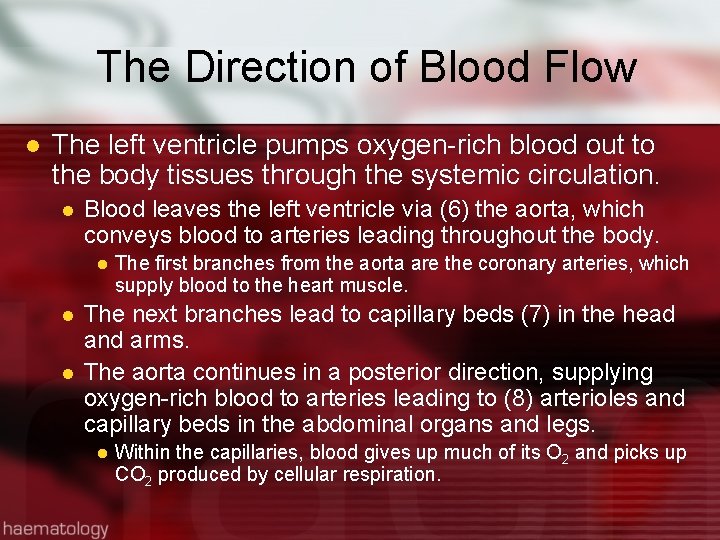The Direction of Blood Flow l The left ventricle pumps oxygen-rich blood out to