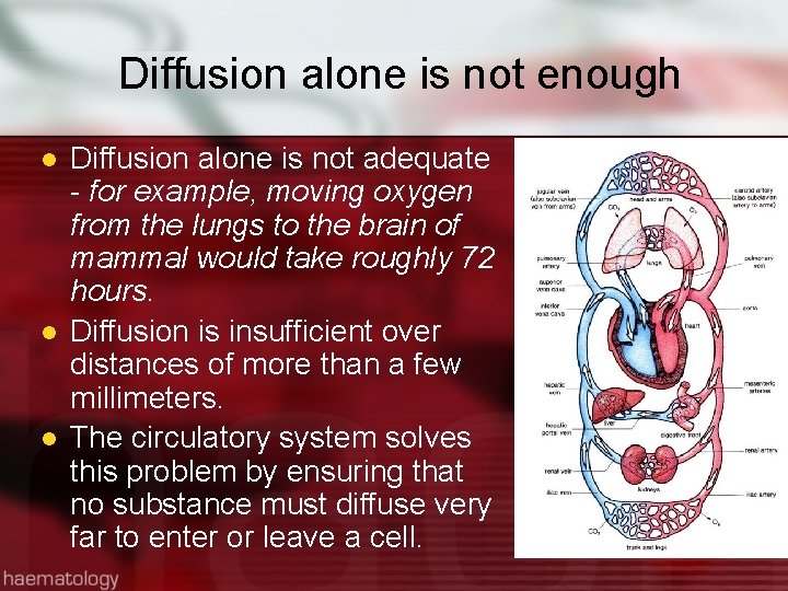 Diffusion alone is not enough l l l Diffusion alone is not adequate -