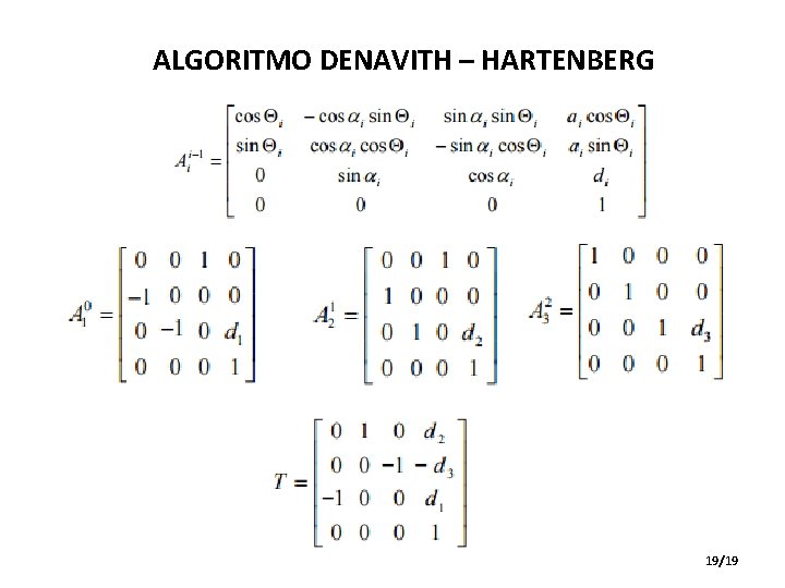 ALGORITMO DENAVITH – HARTENBERG 19/19 