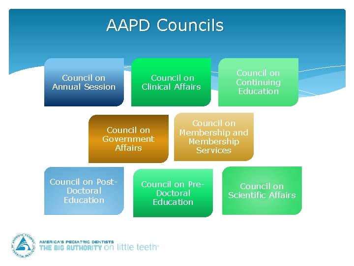 AAPD Councils Council on Annual Session Council on Clinical Affairs Council on Government Affairs