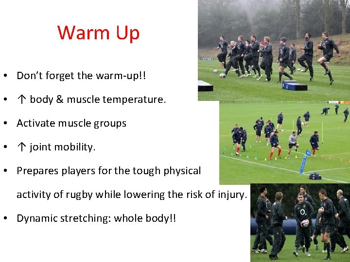 Warm Up • Don’t forget the warm-up!! • ↑ body & muscle temperature. •