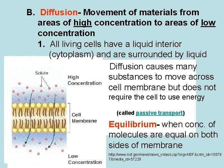 B. Diffusion- Movement of materials from areas of high concentration to areas of low