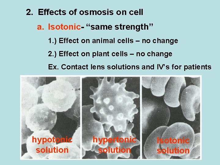 2. Effects of osmosis on cell a. Isotonic- “same strength” 1. ) Effect on