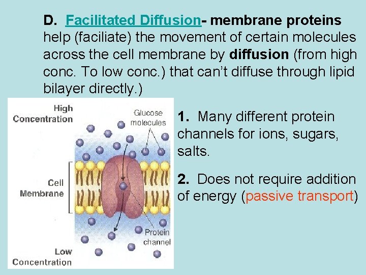 D. Facilitated Diffusion- membrane proteins help (faciliate) the movement of certain molecules across the