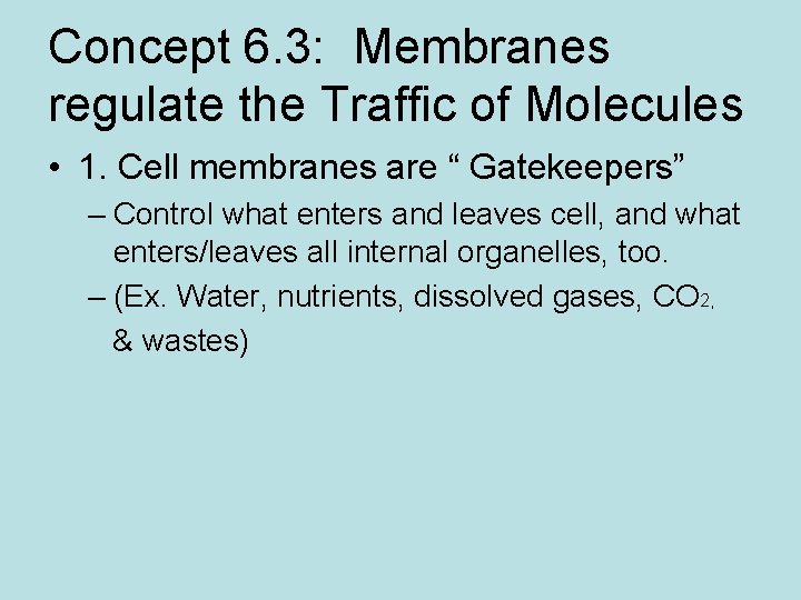 Concept 6. 3: Membranes regulate the Traffic of Molecules • 1. Cell membranes are