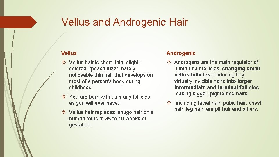 Vellus and Androgenic Hair Vellus Androgenic Vellus hair is short, thin, slightcolored, “peach fuzz”, Vellus and Androgenic Hair Vellus Androgenic Vellus hair is short, thin, slightcolored, “peach fuzz”,