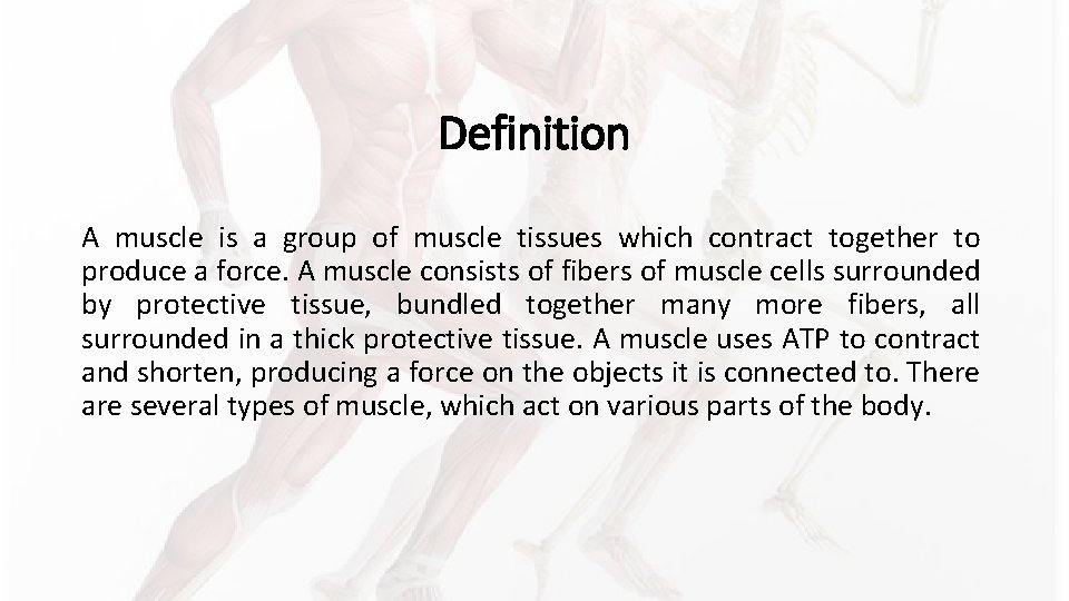 Definition A muscle is a group of muscle tissues which contract together to produce Definition A muscle is a group of muscle tissues which contract together to produce