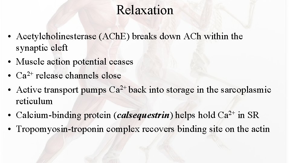 Relaxation • Acetylcholinesterase (ACh. E) breaks down ACh within the synaptic cleft • Muscle Relaxation • Acetylcholinesterase (ACh. E) breaks down ACh within the synaptic cleft • Muscle