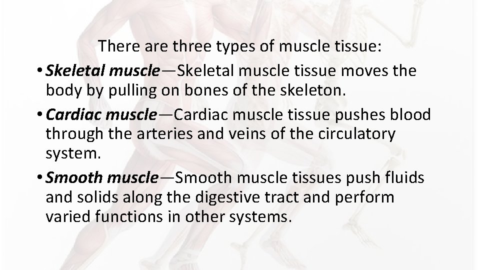 There are three types of muscle tissue: • Skeletal muscle—Skeletal muscle tissue moves the There are three types of muscle tissue: • Skeletal muscle—Skeletal muscle tissue moves the