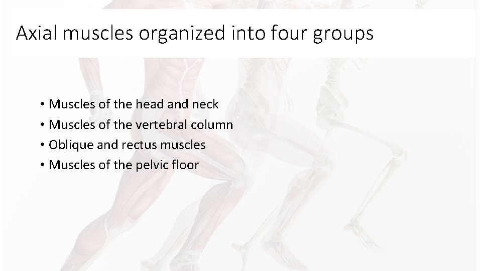 Axial muscles organized into four groups • Muscles of the head and neck • Axial muscles organized into four groups • Muscles of the head and neck •