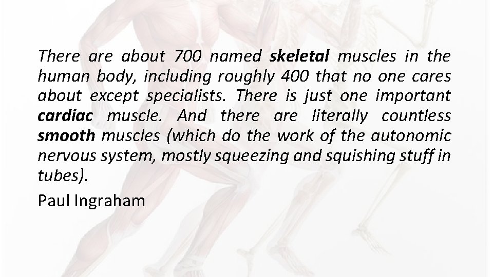 There about 700 named skeletal muscles in the human body, including roughly 400 that There about 700 named skeletal muscles in the human body, including roughly 400 that