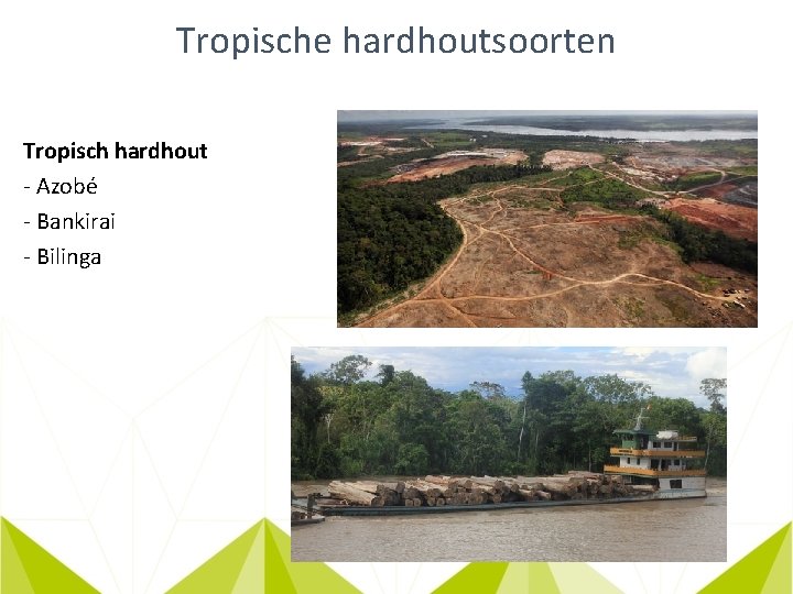 Tropische hardhoutsoorten Tropisch hardhout - Azobé - Bankirai - Bilinga 