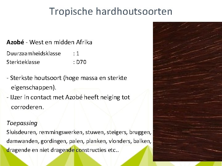 Tropische hardhoutsoorten Azobé - West en midden Afrika Duurzaamheidsklasse Sterkteklasse : 1 : D