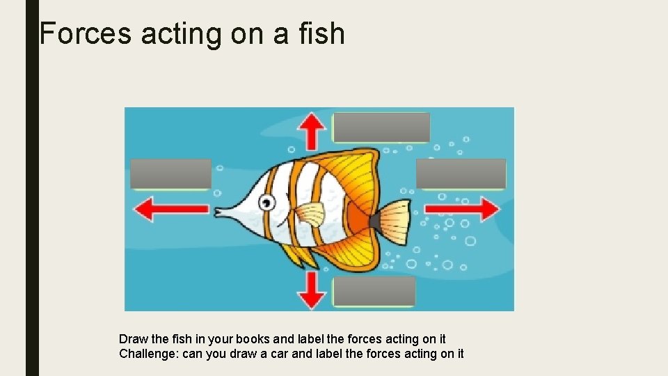 Forces acting on a fish Draw the fish in your books and label the
