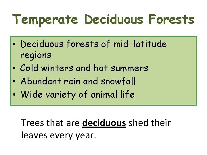 Temperate Deciduous Forests • Deciduous forests of mid‑latitude regions • Cold winters and hot