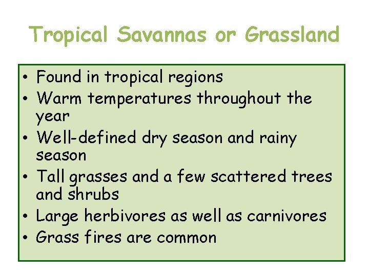 Tropical Savannas or Grassland • Found in tropical regions • Warm temperatures throughout the