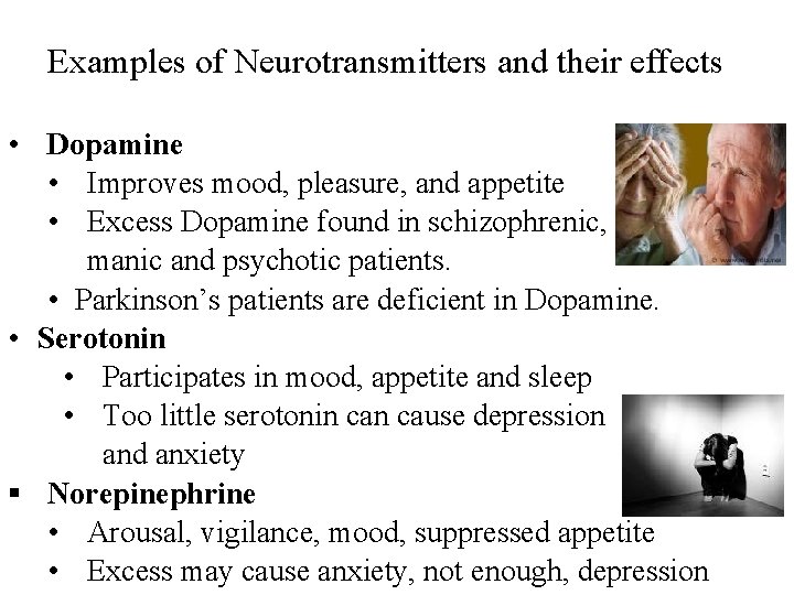 Examples of Neurotransmitters and their effects • Dopamine • Improves mood, pleasure, and appetite