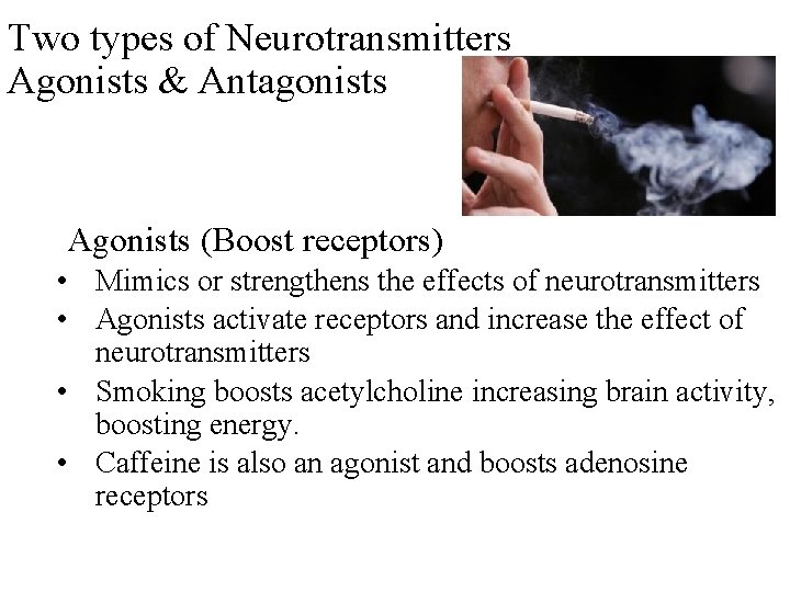 Two types of Neurotransmitters Agonists & Antagonists Agonists (Boost receptors) • Mimics or strengthens