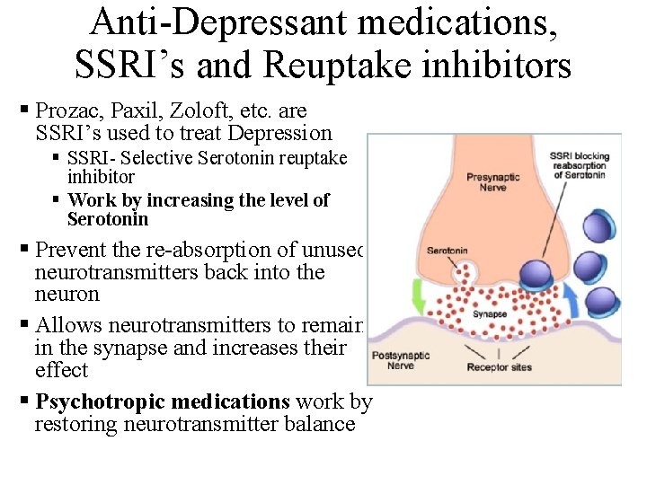 Anti-Depressant medications, SSRI’s and Reuptake inhibitors § Prozac, Paxil, Zoloft, etc. are SSRI’s used